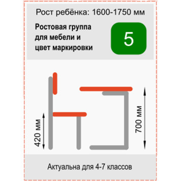 Стол ученический одноместный регулируемый Отличник 3-5 бук-3
